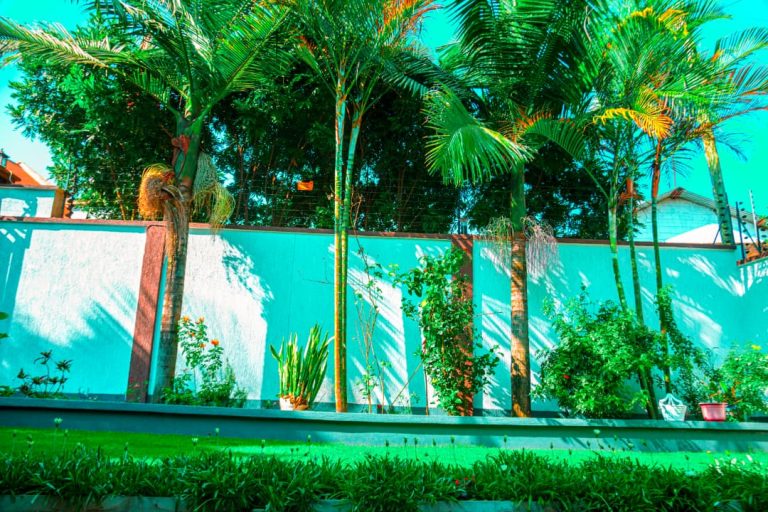 WhatsApp Image 2025-09-08 at 12.16.39_4f47cf26